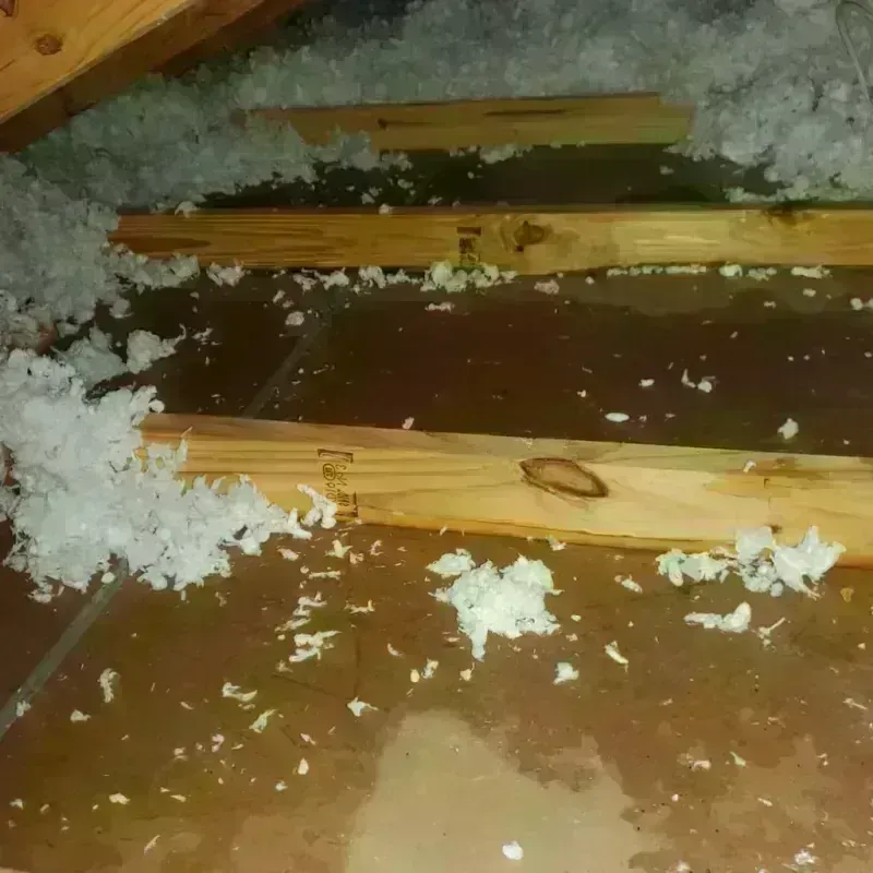 Attic Water Damage in Hodgeman County, KS