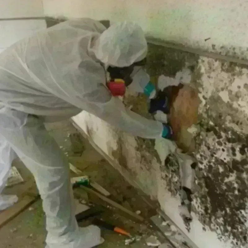 Mold Remediation and Removal in Hodgeman County, KS